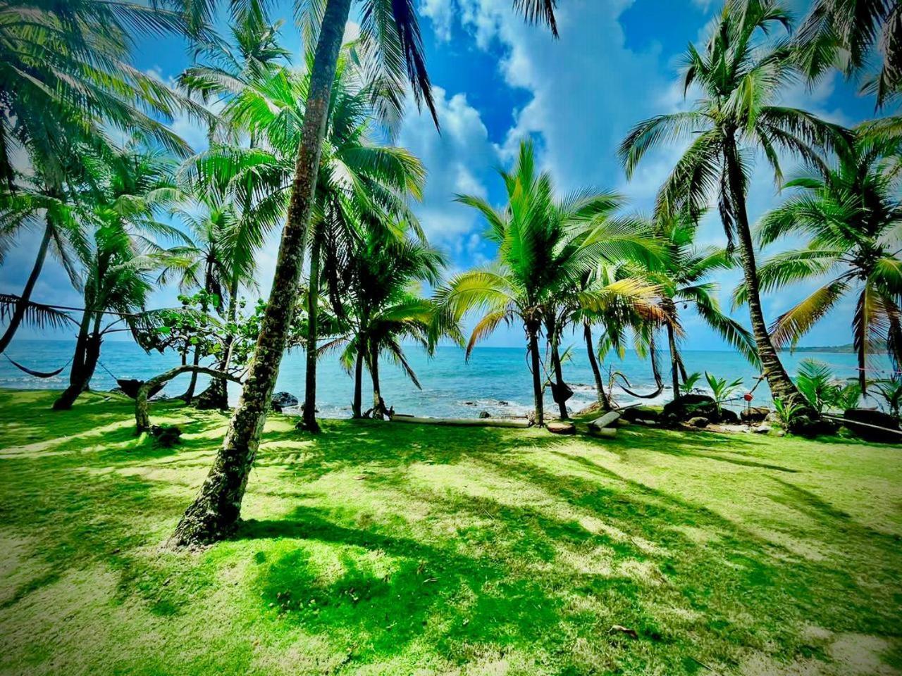 Guesthouse Island Escape South End Dış mekan fotoğraf