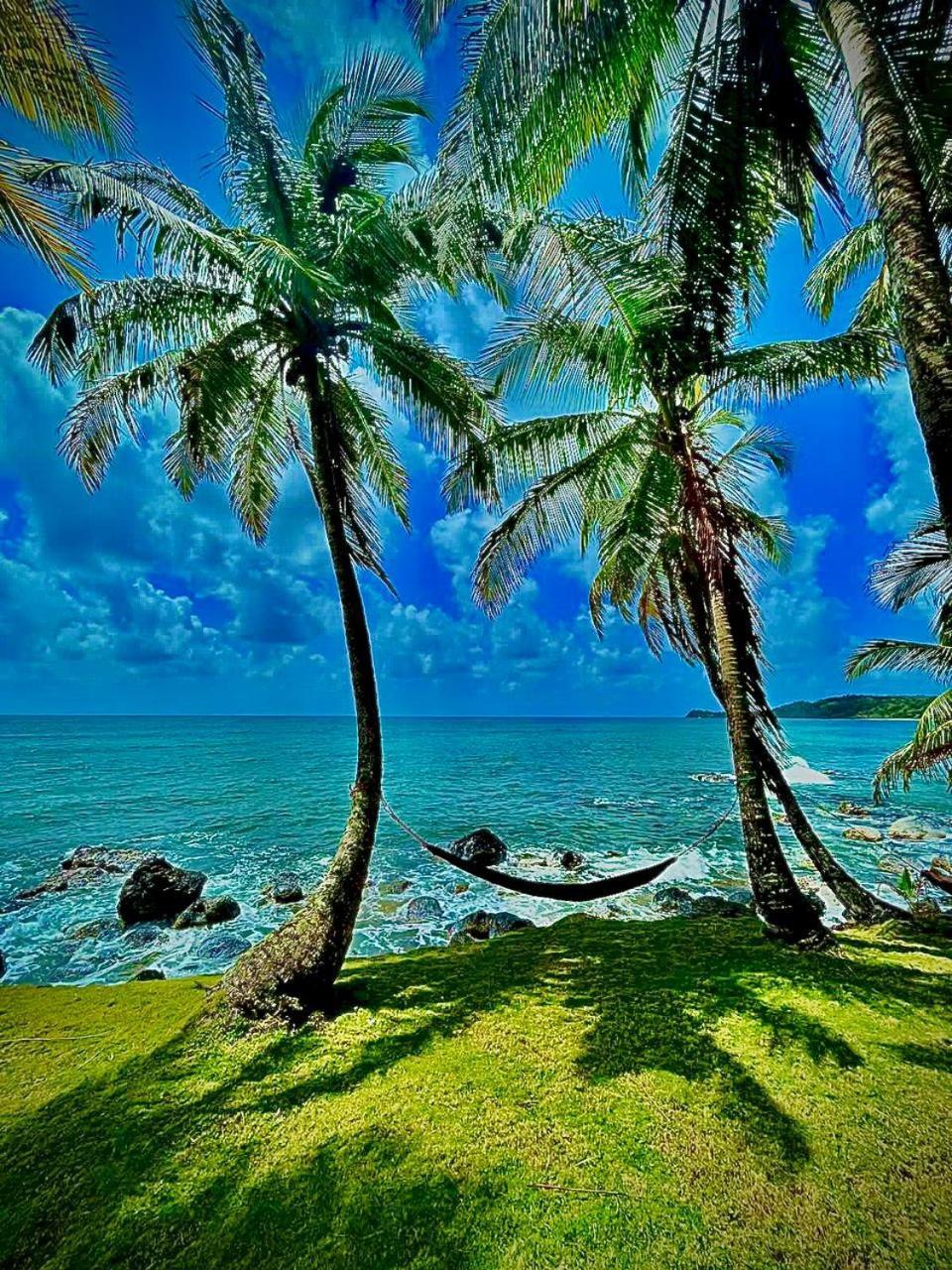 Guesthouse Island Escape South End Dış mekan fotoğraf